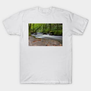 Golitha falls nature reserve T-Shirt